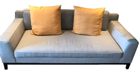 O quarto minimalista moderno do sofá da espuma do alto densidade da personalização deita a durabilidade de Loveseats