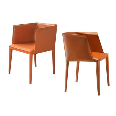 Da poltrona clássica moderna do lazer da sala de jantar prova Wearproof do risco