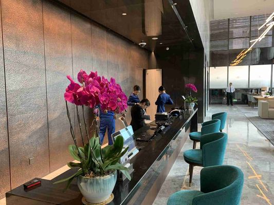 A mobília da madeira maciça de ASCOTT ajustou grupos de sala de visitas para o ODM dos apartamentos