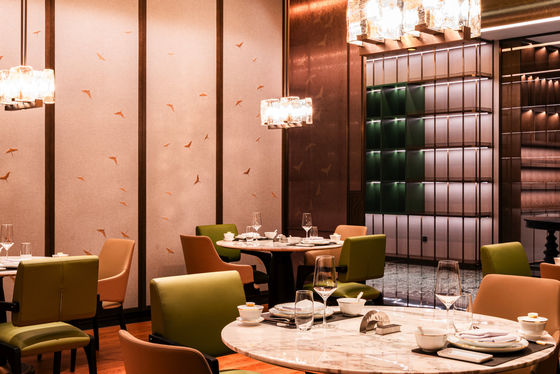 Mobiliário de hotel e restaurante acabado com várias formas e estilo moderno
