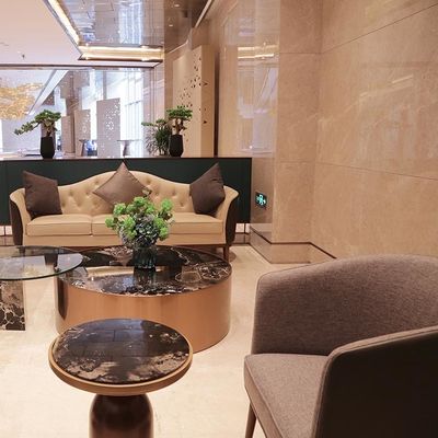 Sofá de tecido fino e cadeira sofisticada de mobiliário de hotel
